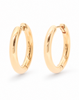 Anéa Grandé Hoops in Gold, Freisteller
