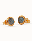 Ternura Labradorit Ohrstecker | Gold