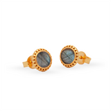 Ternura Labradorit Ohrstecker | Gold