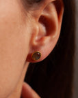 Ternura Labradorit Ohrstecker | Gold